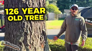 This 126 YEAR OLD Tree needed to be removed yesterday!!