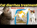 Download Lagu Cat diarrhea treatment and home remedies /Common reason and treatment of cat diarrhea/ Dr.hira saeed MP3