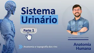 SISTEMA URINÁRIO - PARTE 1 - ANATOMIA E TOPOGRAFIA DOS RINS