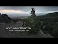 Hope and Restoration Saving the Whitebark Pine