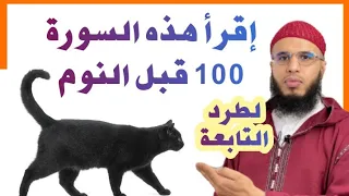 السورة المباركة لطرد التابعة من القطط بإذن الله 