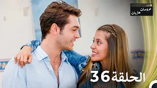 عروسات هاربات الحلقة 36 مدبلج بالعربية 