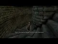 Skyrim courier stops at nothing to deliver his letters
