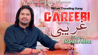 Gareebi | Haroon Abbas | Saraiki Punjabi Song | New Song 2025
