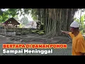 Download Lagu Viral.! Orang Bertapa Di Bawah Pohon Menjaga Desa Sampai Meninggal