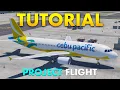 How to play PROJECT FLIGHT on PC for New Players