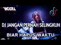 Download Lagu DJ JANGAN PERNAH SELINGKUH X BIAR HAPUS WAKTU TIK TOK VIRAL TERBARU 2021!!
