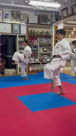 Hanshi Nobuko Oshiro, 9th Dan Dojo “Taishinkan” Basic Movement Training #shorts