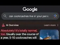 Dumb google ai responses but it s a song