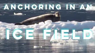 Anchoring in the Valley of the Glacier in Greenland | #63 | DrakeParagon Sailing Season 5