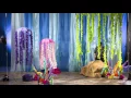 Under The Sea 1