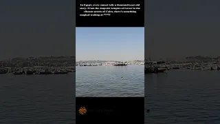 In Egypt Every Sunset Tells A Thousand Year Old Story Travel Egyptianmuseum 