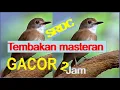 Download Lagu Tembakan Masteran SRDC Gacor Full 2 jam
