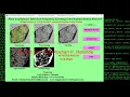 Python Code On Plant Disease Classification Using Neural Network CNN Plant Disease Analysis Python