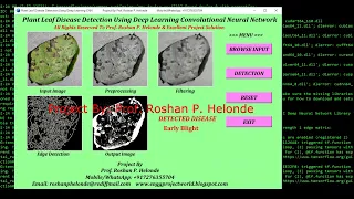Python Code On Plant Disease Classification Using Neural Network CNN Plant Disease Analysis Python