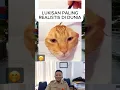 Download Lagu Cara melukis kucing 3D, dijamin bikin senyum-senyum sendiri 😂🗿 #shorts #meme #lucu #warga62lucu