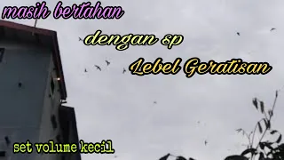 Download Masih Bertahan Dngan Suara Lebel Geratisan Sp black jet dan inap top9 MP3