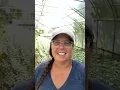 Replay Ask a Flower Farmer Takeover with Jennie Love of Love n Fresh Flowers