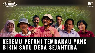 Distrik: Kemitraan Petani Tembakau, Pilar Penting Ekonomi Rembang