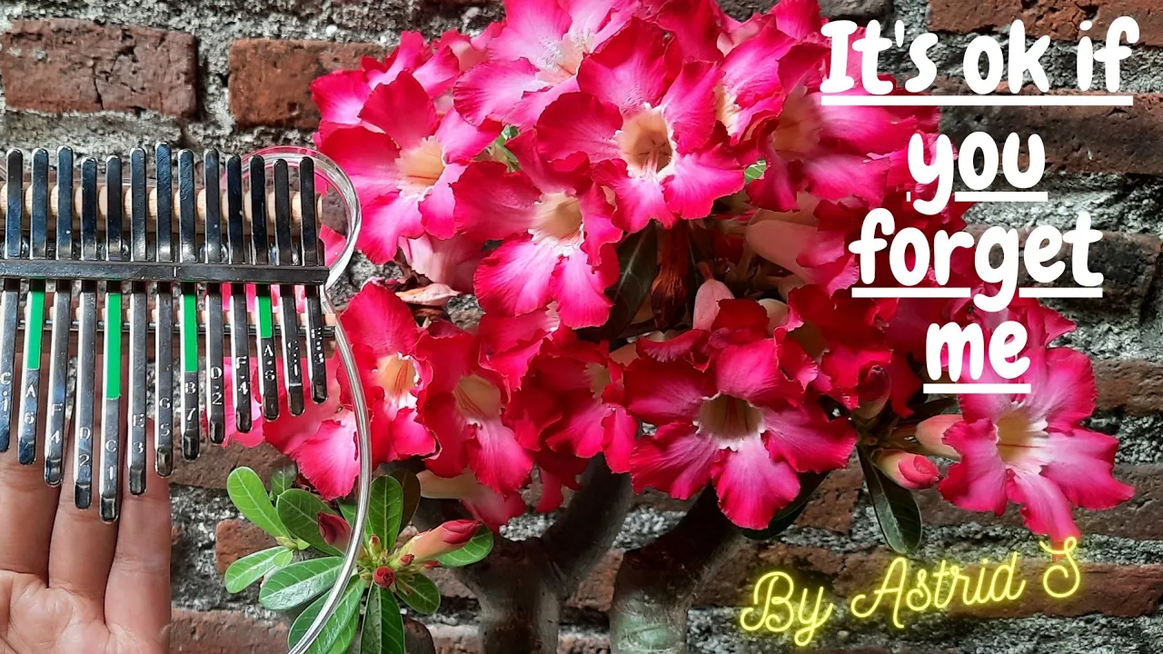 It's Okay if You Forget Me - ASTRID S || Kalimba Cover With Tabs and Lirics by KalimbaKu