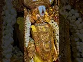 Download Lagu Govinda Hari Govinda – Live Balaji Aarti Status🙏🏻#govinda