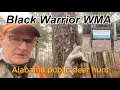 Black Warrior Alabama public deer hunt