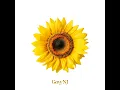 Sunflower (2026) (Instrumental)