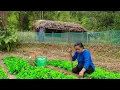 Download Lagu Een alleenstaande moeder en haar reis om een ​​verlaten tuin om te toveren tot haar droomhuis!