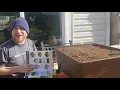 Patio Pickers Self Watering Raised Bed Garden Box
