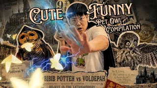 BIBIB POTTER!!🧙🏻🦉 Bibib Family Cute and Funny Owl Compilation!!😋