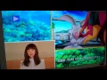 ＹＵＫＩコメントVer.『ポケモン』CM