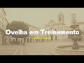 Isadora Pompeo - Ovelha em Treinamento (Letra)