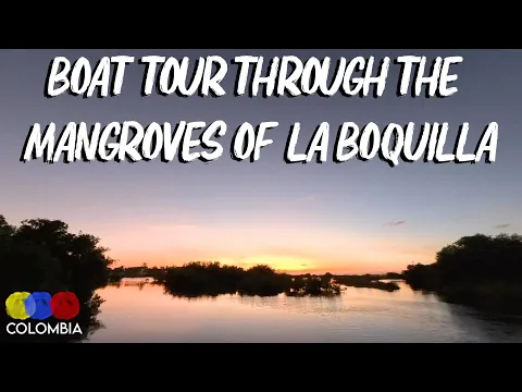 Sunset Mangrove Cruise in La Boquilla, Cartagena