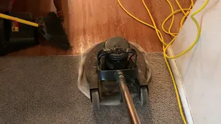 New carpet guys need Craigslist