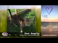 The Pirate FM Cornwall Pet Patrol - Tuesday 9th June 2015