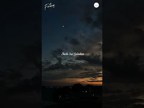 Roshewala Myani Dilbaro 💫 #Roshewala #junaid #afterfiraaq #kashmirisongs
