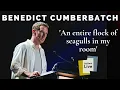 Download Lagu Benedict Cumberbatch reads a hilarious letter of apology to a hotel