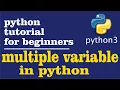 8 - Multiple variables in a single line in python