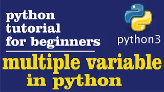 8 - Multiple variables in a single line in python