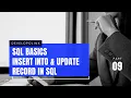 SQL Basics INSERT INTO UPDATE TABLE in SQL Developolink