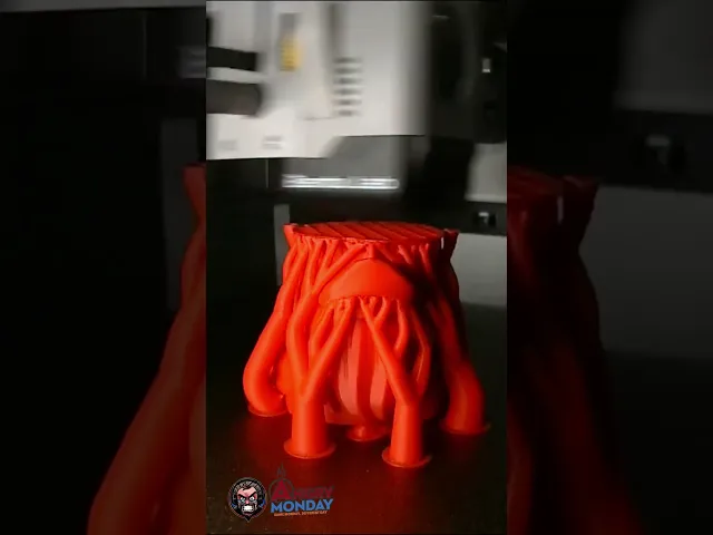 Santa Duck video thumbnail