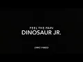 Feel the Pain by Dinosaur Jr. - Lyrics on Screen