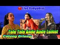 TOLE TOLE ANDE ANDE LUMUT CALUNG ORLENG BANYUMASAN || DVS OFFICIAL