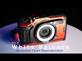 Olympus TG-6 Accurate Color Through White Balance