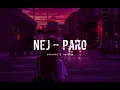 Lagu Nej _ paro ( slowed + reverb ) allo allo | lofi
