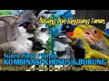 Download Lagu SUARA PIKAT PILIHAN,‼️ KHUSUS 6,BURUNG. 💯 AMPUH..