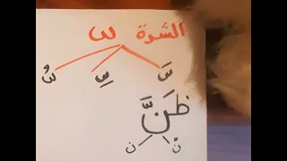 شرح الشدة بأبسط طريقة  لكل طفل شايف انها صعبة بلاش يفوتكم الفيديو دا  الجزء الاول  دندنها