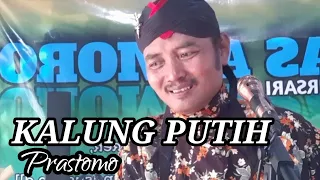 Download Kalung Putih MP3