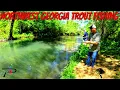 Northwest Georgia Trout Fishing is Really Good Right Now Spring Stocking