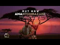 Download Lagu Thulasizwe feat Dj Sk _(Amantombazane)  Original mix.